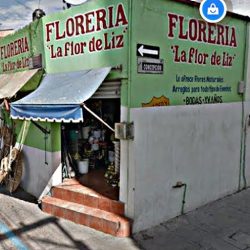 Floreria Flor De Liz