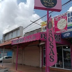 Florería Flor De Loto Sucursal Acueducto