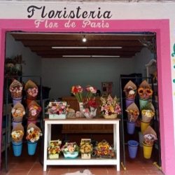 Florería Flor De París