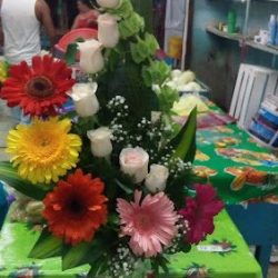 Floreria Florabella
