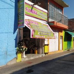 Florería "floraly"