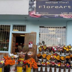 Florería Florearte