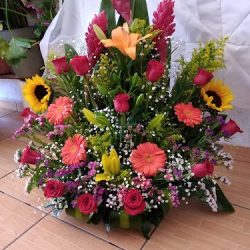 Floreria Floreira