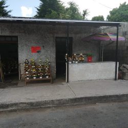 FlorerÍa Florella