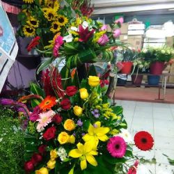 Florería Flores