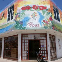 Floreria Flores