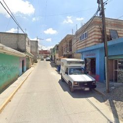 Floreria Flores