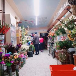 Florería Flores