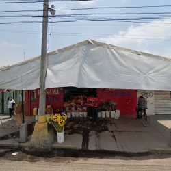 Floreria Flores