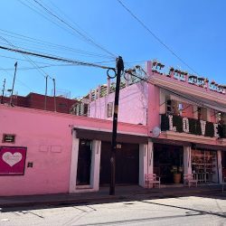 Florería Flores De Oaxaca