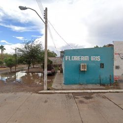 Floreria Flores Magón