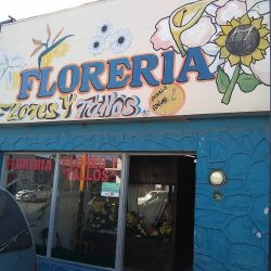 Florería Flores Y Tallos