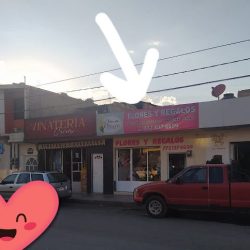 Floreria Floretti Amore