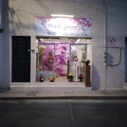 Floreria Florida Grenn