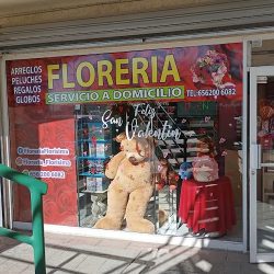 Floreria Florisima