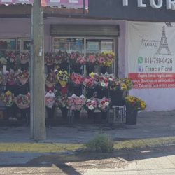 Florería Francia Floral
