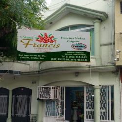 Floreria Francis