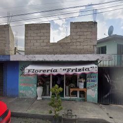 Florería Frizia