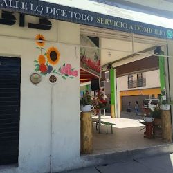 FlorerÍa Frizzia