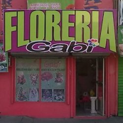 Floreria Gabi