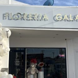 Floreria Gala