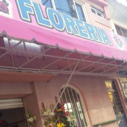 Floreria " Galeana"