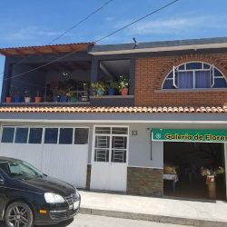 Florería "galería De Flores"