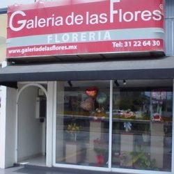 Floreria Galeria De Las Flores