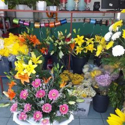 Floreria Galeria De Las Flores Tuxpan
