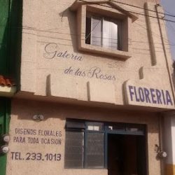 Florería Galería De Las Rosas