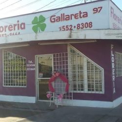 Floreria Gallareta 97