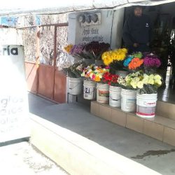 Florería Gamy