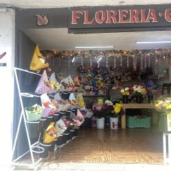 Floreria “gaona”
