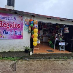 Florería Gar//gut