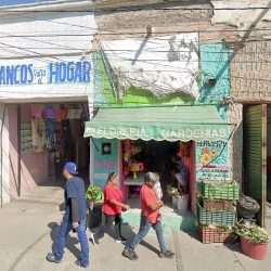 Floreria Gardenas