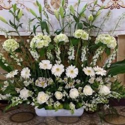 Floreria Gardenia