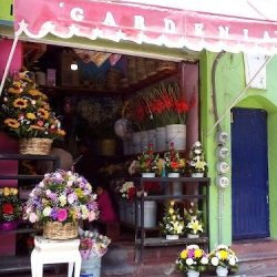 Florería Gardenia