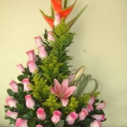 "floreria Gardenia"