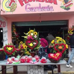 Floreria Gardenia