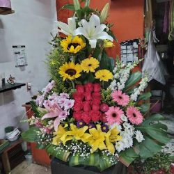Floreria Gardenia