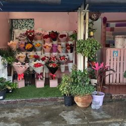 Florería Gardenia