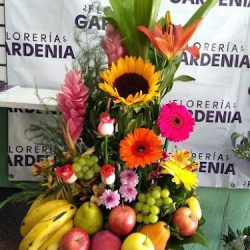 Florería Gardenia