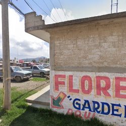Floreria 'gardenia'
