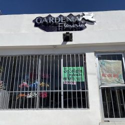 Floreria Gardenia