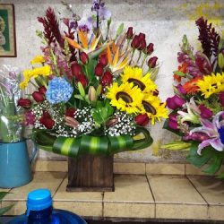 Florería Garfias