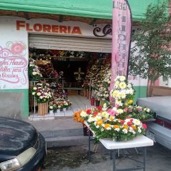 Floreria Gely