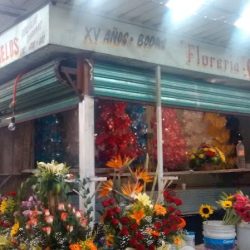 Florería Gemelos