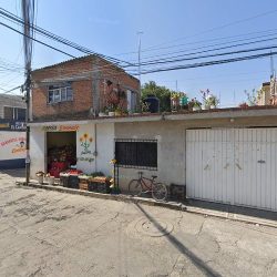 Floreria Genesis