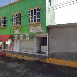 Florería Gerbera