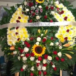 Floreria ''gerizim"